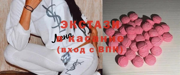 прущие грибы Лабытнанги
