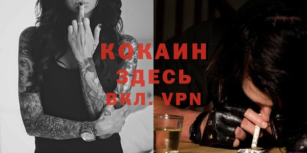 прущие грибы Лабытнанги