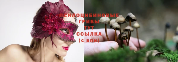 МДПВ Ладушкин
