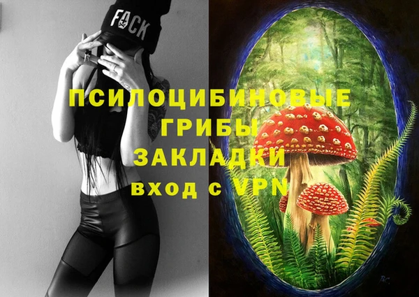 МДПВ Ладушкин
