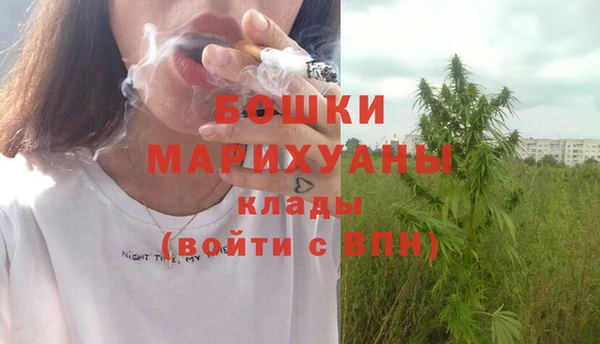 прущие грибы Лабытнанги