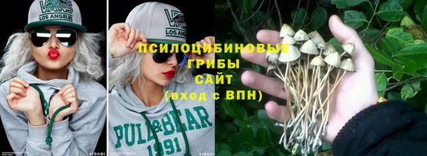 прущие грибы Лабытнанги